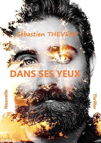 DANS SES YEUX - Sébastien THEVENY